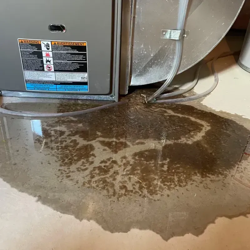 Appliance Leak Cleanup in Evans, CO